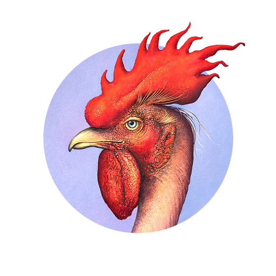 Wismar Ausstellungen, Ausstellung in Wismar, Zeitgenössische Kunst, Museen Galerien, Neuer Realismus, Manfred W. Jürgens Maler