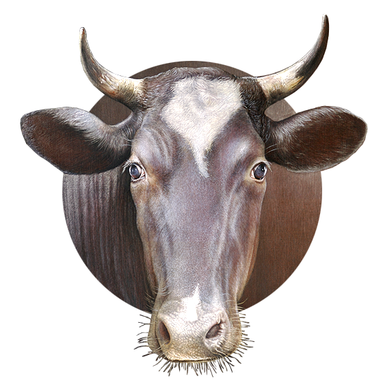 Manfred W. Jürgenms, Malerei, Wismar