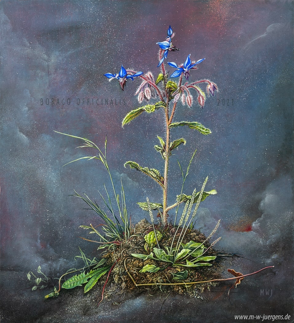 Kunst Offen MV, Kunst:Offen M-V, KunstOffen 2026 in Wismar, Atelier-Galerie Jürgens, Malerei Manfred W. Jürgens